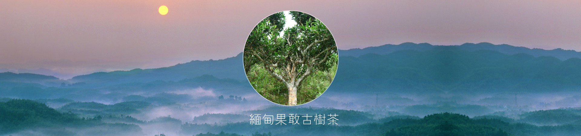 濟(jì)寧星志重工機(jī)械有限公司